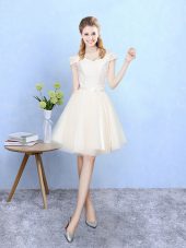 Off The Shoulder Cap Sleeves Lace Up Quinceanera Court Dresses Champagne Tulle