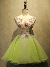Custom Fit Embroidery Evening Dress Olive Green Lace Up Sleeveless Mini Length