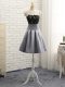 Trendy Sleeveless Side Zipper Mini Length Lace and Appliques Evening Dress