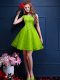 Clearance Tulle Sleeveless Knee Length Quinceanera Dama Dress and Beading and Lace