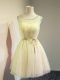 Gold Empire Tulle Scoop Sleeveless Belt Knee Length Lace Up Damas Dress