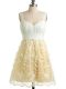 Lace Dama Dress Champagne Lace Up Sleeveless Knee Length