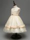 Sleeveless Lace and Bowknot Zipper Flower Girl Dress