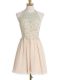 Champagne Empire Appliques Damas Dress Lace Up Chiffon Sleeveless Knee Length