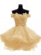 Sleeveless Zipper Mini Length Lace and Appliques and Ruffles Pageant Dress for Teens