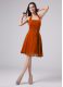 Beautiful Sleeveless Zipper Knee Length Ruching Mother of the Bride Dress