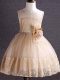 Knee Length Ball Gowns Sleeveless Champagne Child Pageant Dress Zipper