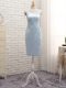 Mini Length Column/Sheath Sleeveless Light Blue Mother of Bride Dresses Zipper