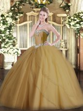 Sweetheart Sleeveless Brush Train Lace Up Quinceanera Dresses Champagne Tulle