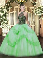 Halter Top Sleeveless Lace Up Sweet 16 Dresses Taffeta and Tulle