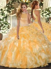 Best Selling Sleeveless Backless Floor Length Beading and Ruffles Quinceanera Dress