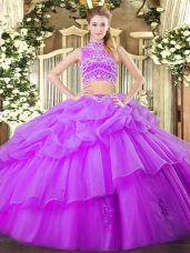 Hot Sale Sleeveless Tulle Floor Length Backless 15 Quinceanera Dress in Eggplant Purple with Beading and Ruffles and Pick Ups