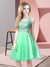 Designer Apple Green Sleeveless Tulle Zipper Prom Dresses for Prom and Party