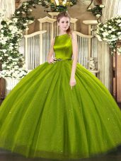 Discount Sleeveless Clasp Handle Floor Length Belt Quince Ball Gowns