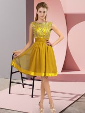 Dynamic Sleeveless Appliques Backless Dress for Prom