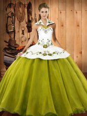 Traditional Olive Green Sleeveless Embroidery Floor Length 15th Birthday Dress