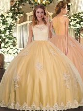 Eye-catching Sleeveless Floor Length Lace and Appliques Clasp Handle 15 Quinceanera Dress with Gold