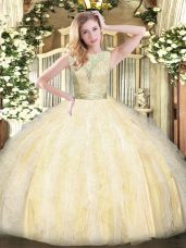 Sexy Scoop Sleeveless Backless Quinceanera Dress Light Yellow Organza