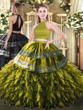 Floor Length Ball Gowns Sleeveless Olive Green Quinceanera Gown Backless