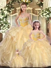 Organza Sleeveless Floor Length Sweet 16 Quinceanera Dress and Beading and Ruffles