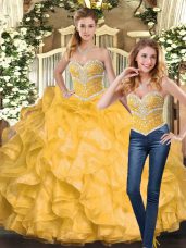 Adorable Sleeveless Beading and Ruffles Lace Up Sweet 16 Quinceanera Dress