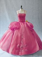 Popular Appliques 15th Birthday Dress Pink Lace Up Sleeveless Floor Length