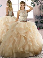 Sweet Scoop Sleeveless Tulle Quinceanera Dress Ruffles Lace Up