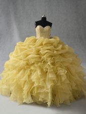Simple Sweetheart Sleeveless Organza 15th Birthday Dress Beading and Ruffles Lace Up