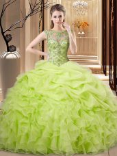 Glorious Organza Sleeveless Floor Length Sweet 16 Quinceanera Dress and Beading and Ruffles and Pick Ups