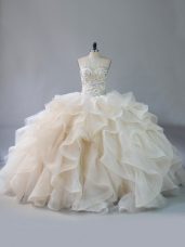 Custom Design Brush Train Ball Gowns Sweet 16 Quinceanera Dress Champagne Sweetheart Organza Sleeveless Lace Up