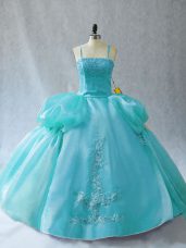 Fashion Aqua Blue Organza Lace Up Straps Sleeveless Floor Length 15 Quinceanera Dress Appliques