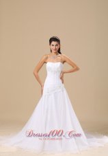Appliques Decorate Bodice A-line Organza and Taffeta Simple Style Chapel Train 2013 Wedding Dress