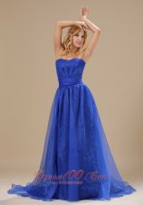 Plus Size Brookhaven Blue Organza Strapless Brush Train Column Simple Style 2013 Plus Size Prom / Evening dress