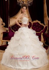 New Beautiful Ivory Quinceanera Dress Sweetheart Satin and Organza Embroidery Ball Gown