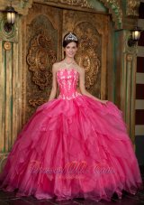 Popular Gorgeous Hot Pink Quinceanera Dress Strapless Appliques Organza Ball Gown