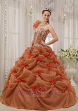 Popular Discount Rust Red Quinceanera Dress One Shoulder Organza Appliques Ball Gown