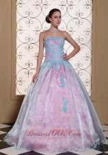 Light Blue Appliques On Organza Strapless Lovely Quinceanera Dress For 2013