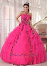 Fashionable Hot Pink Quinceanera Dress Sweetheart Organza Paillette Ball Gown Fashion
