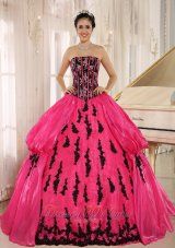Hot Pink 2013 New Arrival Strapkess Embroidery Decorate For Quinceanera Dress In Montero Fashion