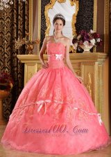 Watermelon Red Ball Gown Strapless Appliques Organza Quinceanera Dress Plus Size