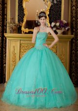 AffordableTurquoise Quinceanera Dress Strapless Organza Beading Ball Gown Plus Size