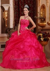 Puffy Cute Hot Pink Sweet 16 Dress Strapless Organza Appliques Ball Gown