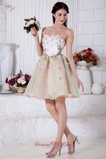 Colorful A-line Sweetheart Mini-length Organza Appliques Prom / Homecoming Dress