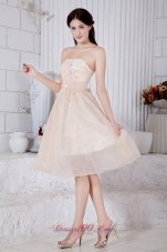 Champagne A-line / Princess Strapless Short Prom / Homecoming Dress Organza Appliques Knee-length