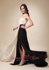 Champagne and Black Empire V-neck Brush Train Chiffon Ruch Prom / Evening Dress