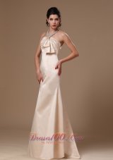 Discount Satin Champagne Strapless Column Brush Simple Prom Gowns In Alexander City Alabama