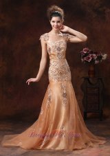 Celebrity Champagne Embroidery Square 2013 Prom Dress With Organza