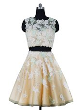 Champagne Zipper Scoop Beading and Appliques Party Dress Organza Sleeveless