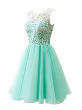 Custom Design Scoop Knee Length A-line Sleeveless Apple Green Party Dress for Toddlers Clasp Handle