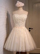 Champagne A-line Sweetheart Sleeveless Organza Mini Length Lace Up Appliques Party Dress for Toddlers